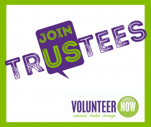 Volunteer Now Trustees
