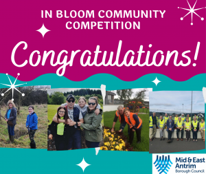 In Bloom Community Competition congratulations
