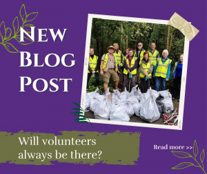 Blog Post Will volunteers always be there