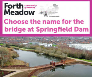 Forth meadow name bridge website