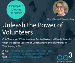 Unleash the power of volunteers website