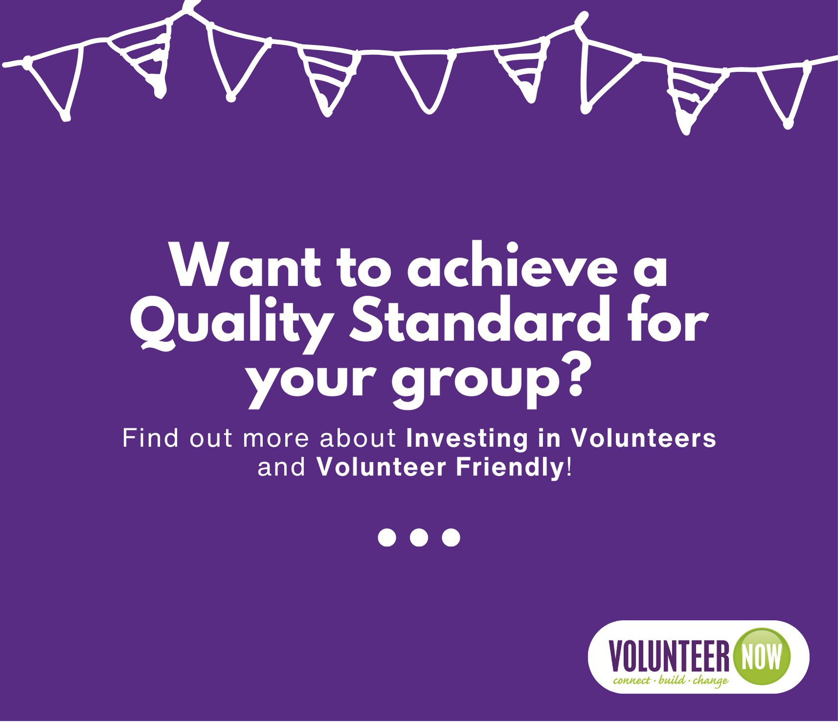 Volunteer Now Quality Standards image