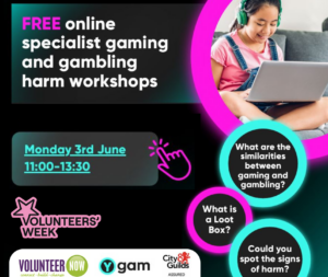 Ygam and Volunteer Now workshop